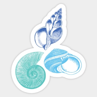 Seashell Nautical Ocean Summer Sea Sticker